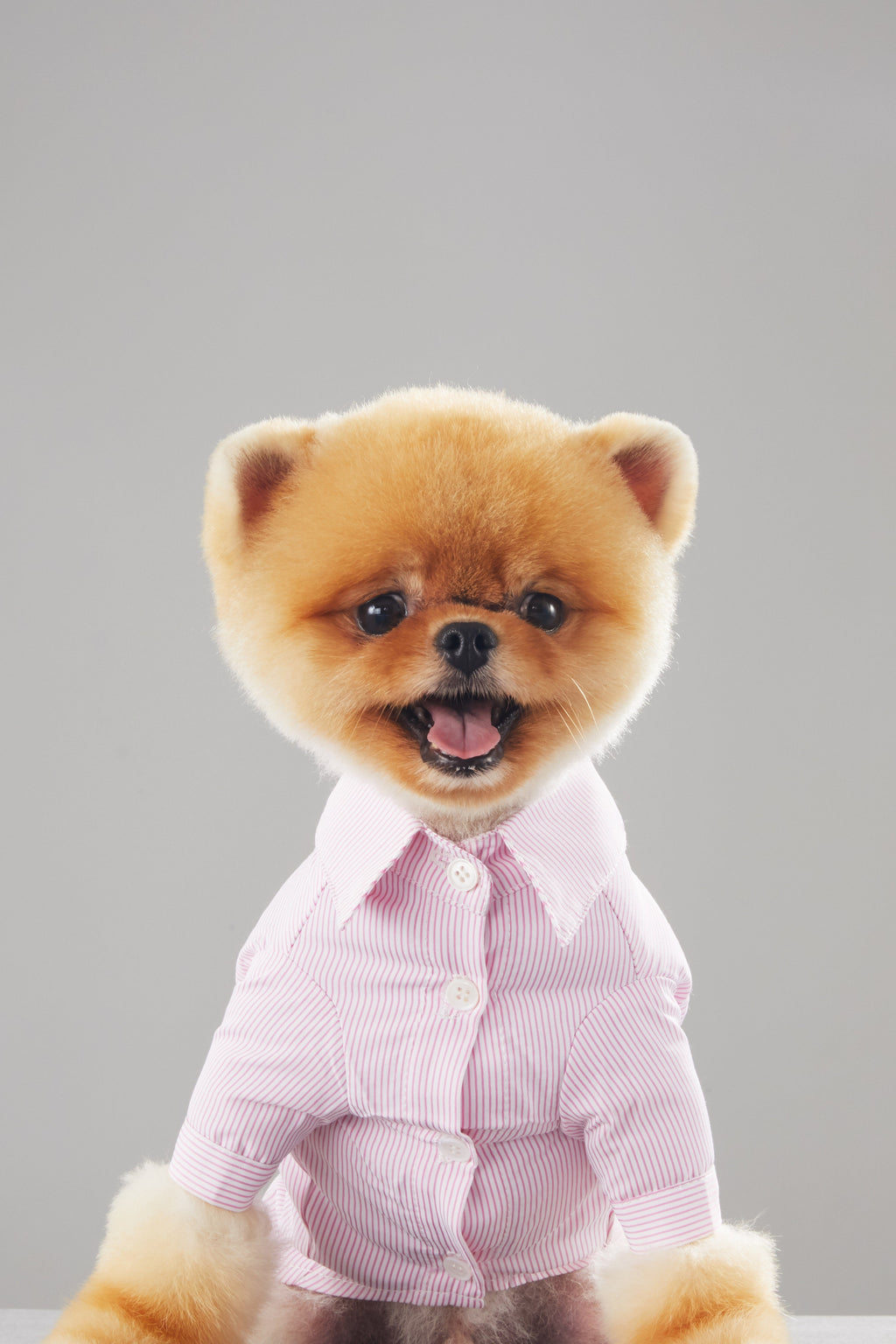 Striped Cotton Shirt in Blue or Pink