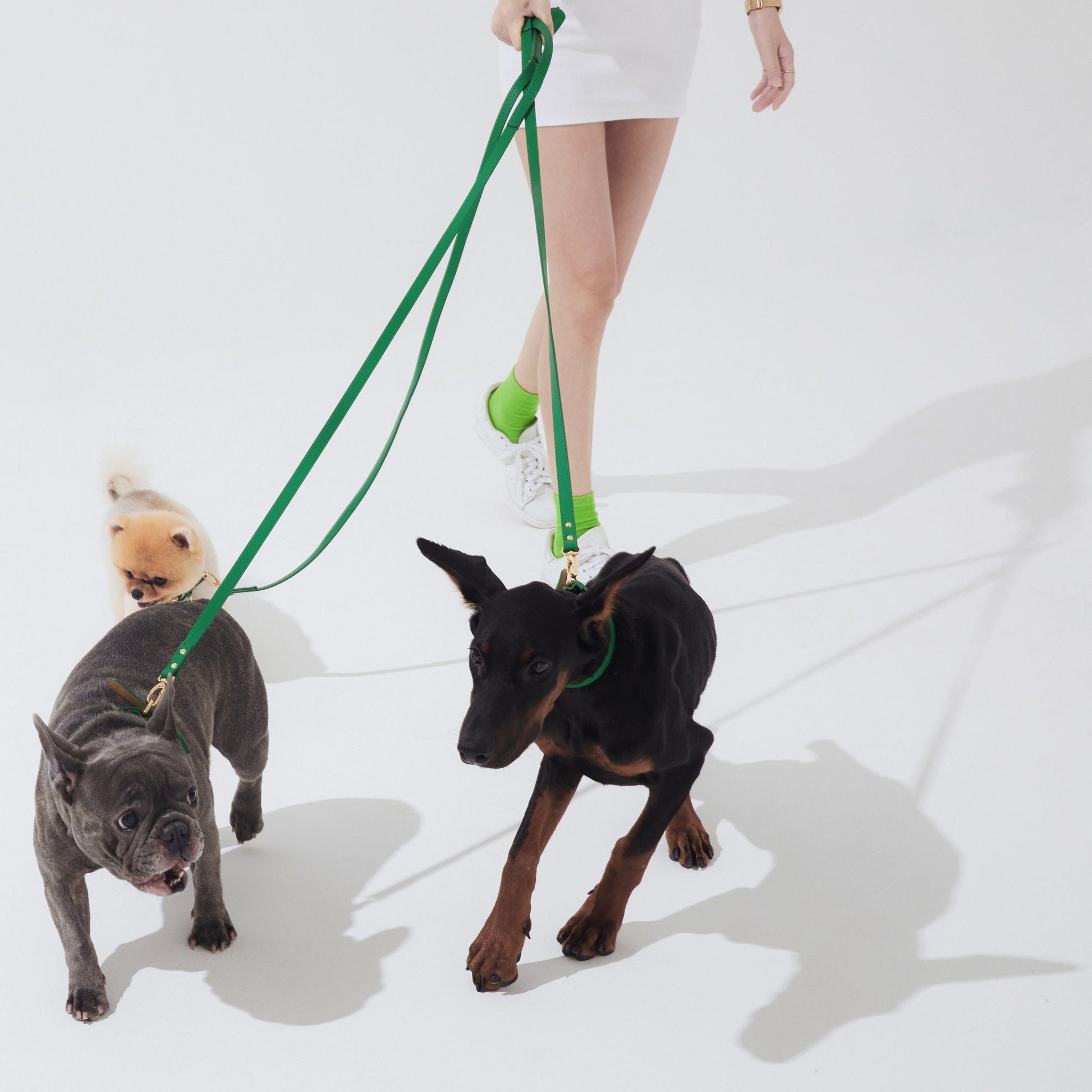 Leather Lead in Six Colours