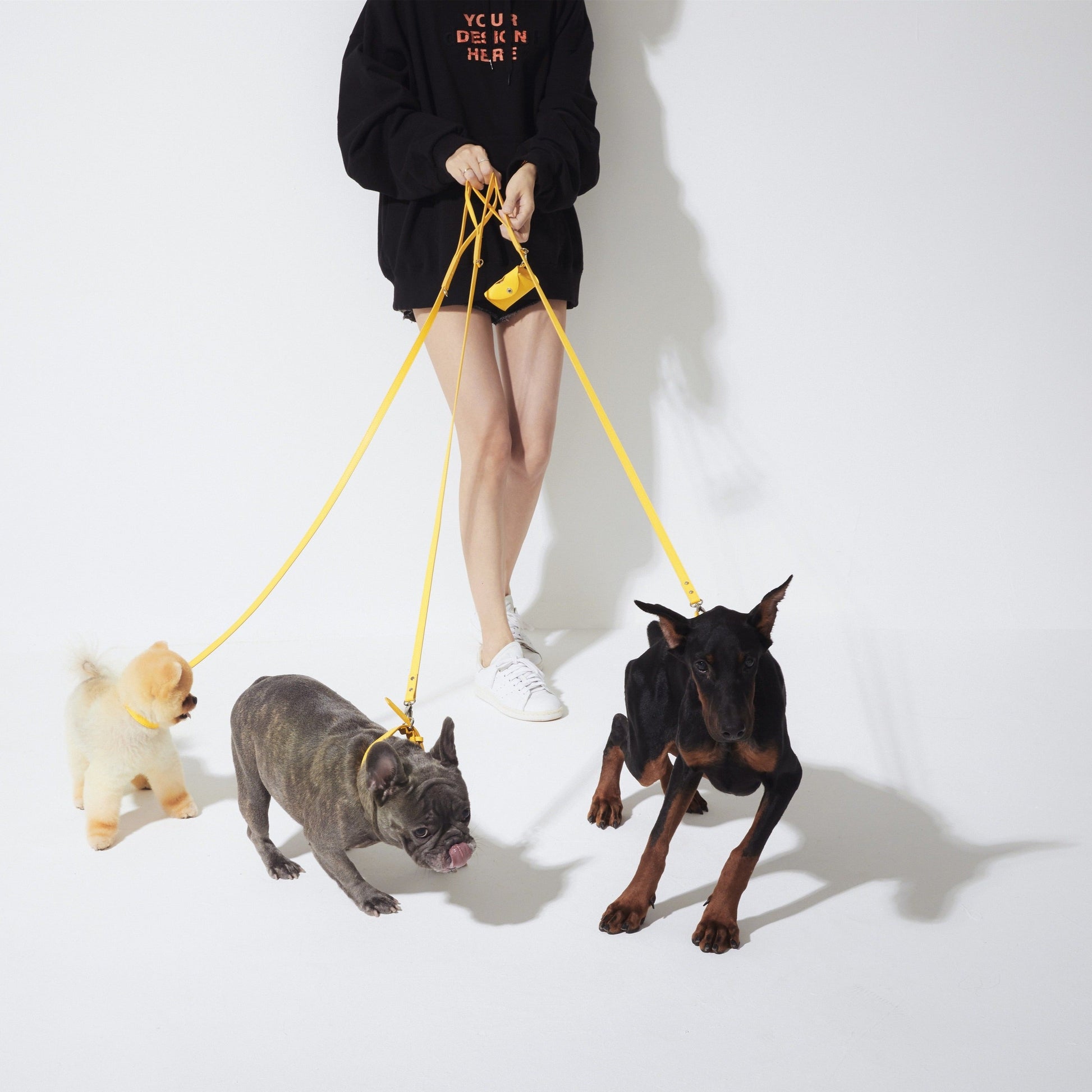 Leather Lead in Six Colours