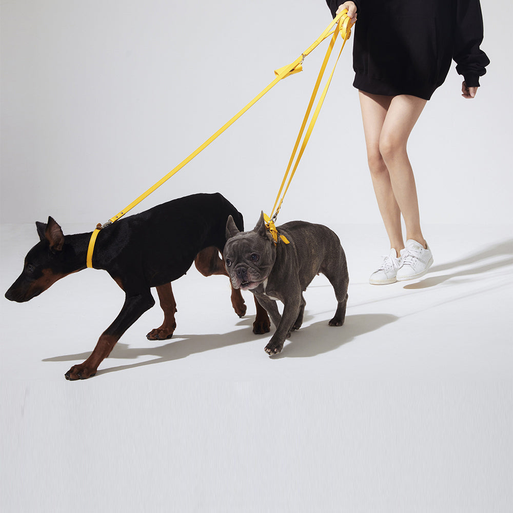 Leather Lead in Six Colours