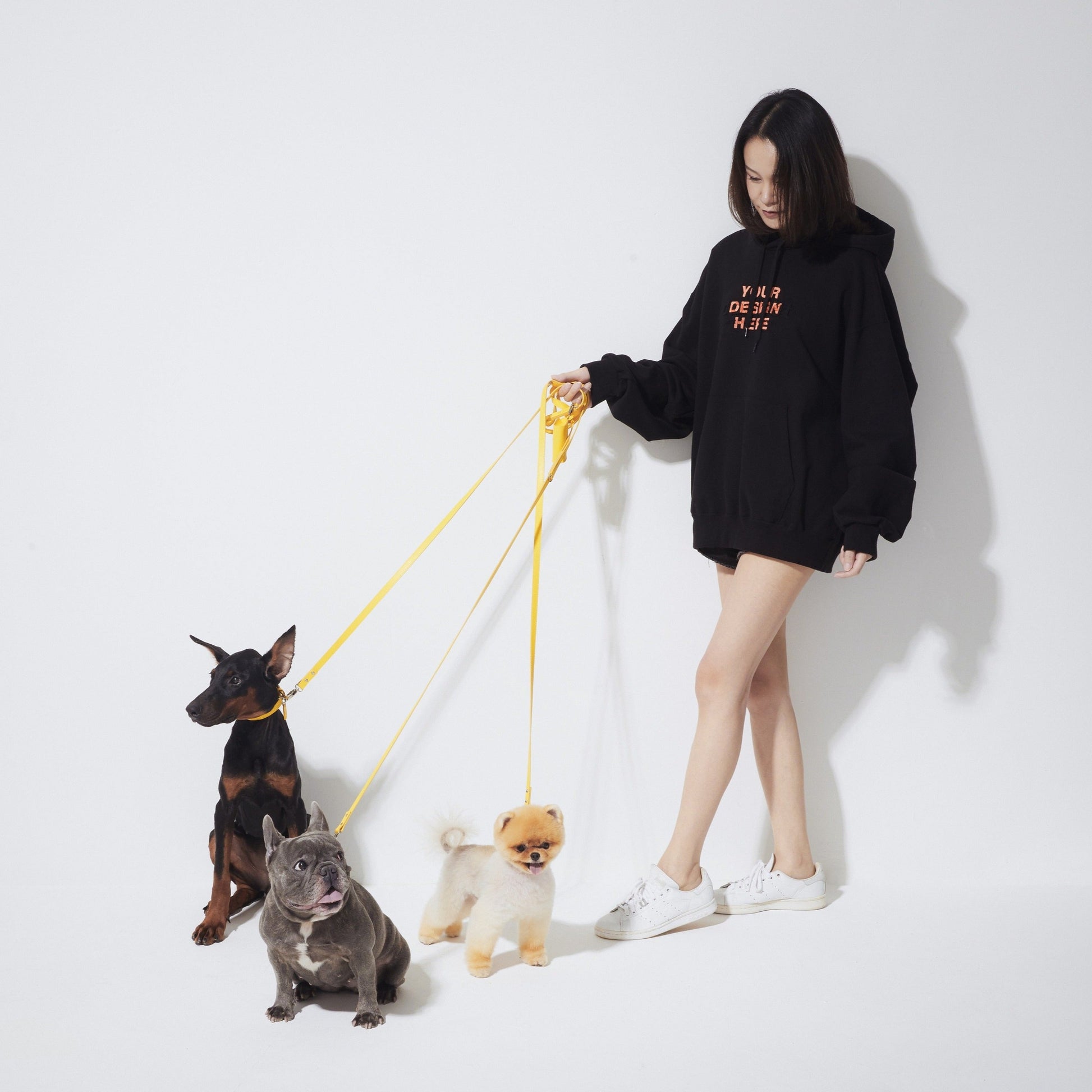 Leather Lead in Six Colours