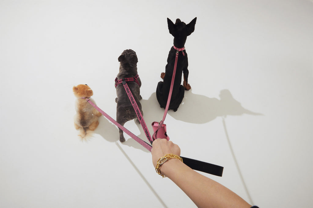 Ribbon Lead with Leather in Rose and Green