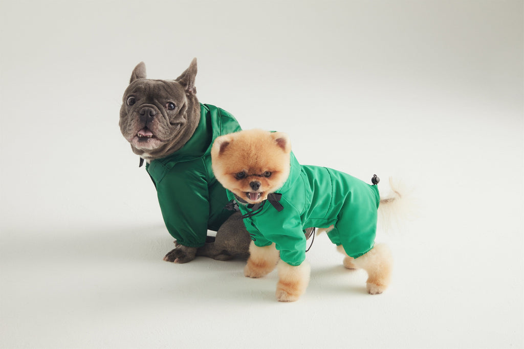 Mint Green Waterproof Thin Coat with Hoodie