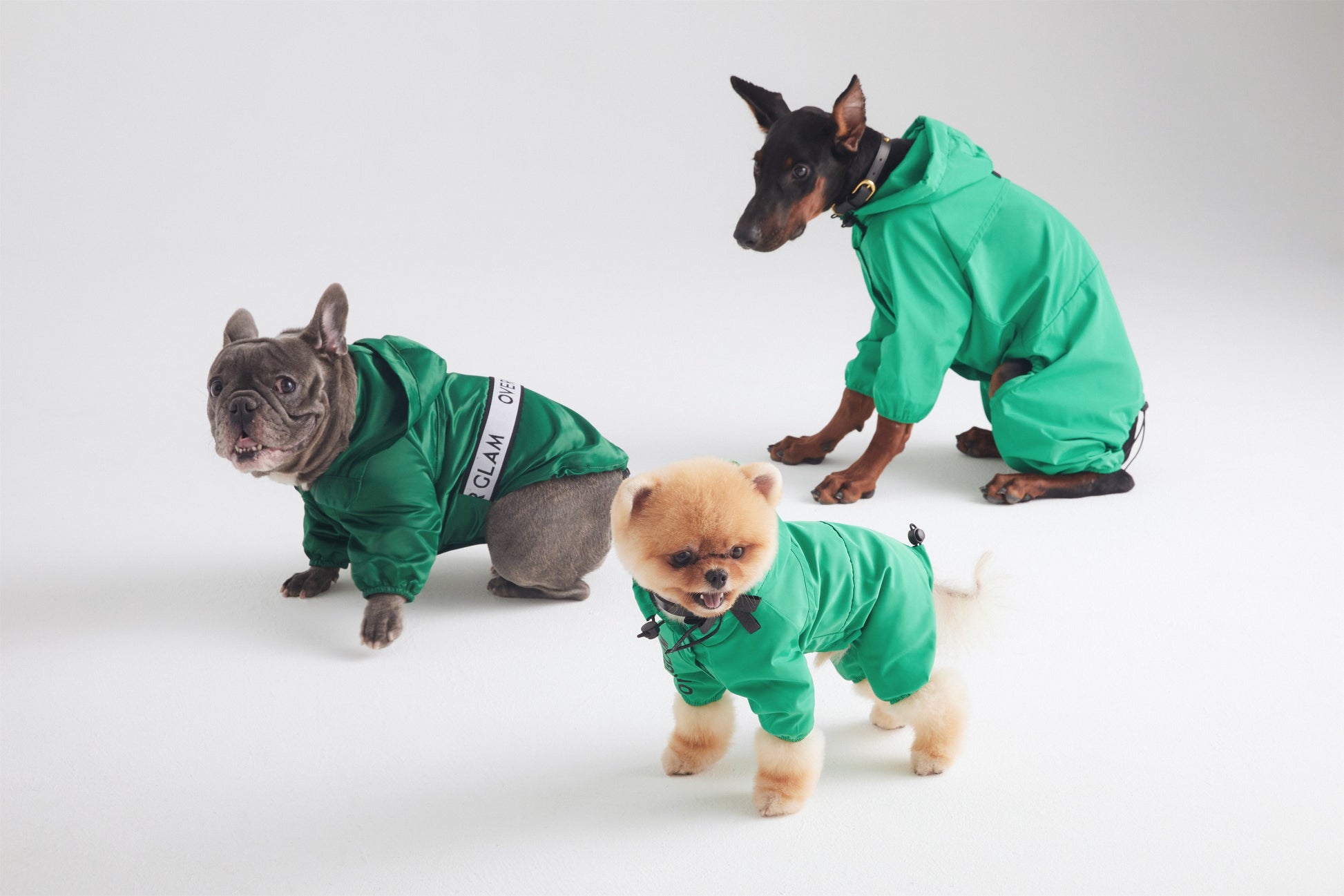 Ribbon Thin Glossy Water Resistant Coat