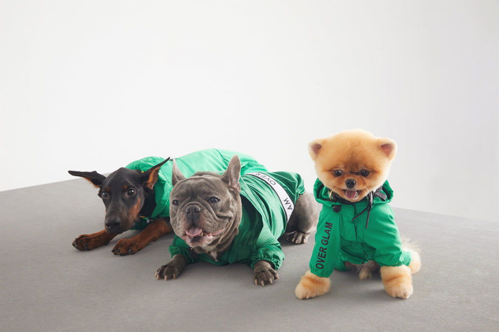 Ribbon Thin Glossy Water Resistant Coat