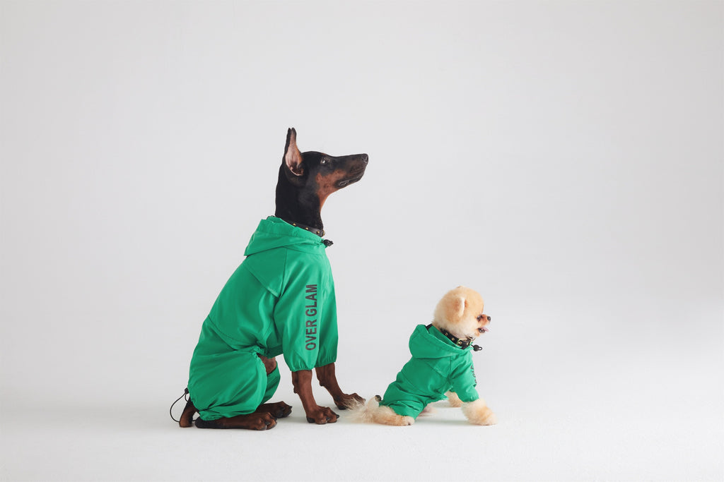 Mint Green Waterproof Thin Coat with Hoodie