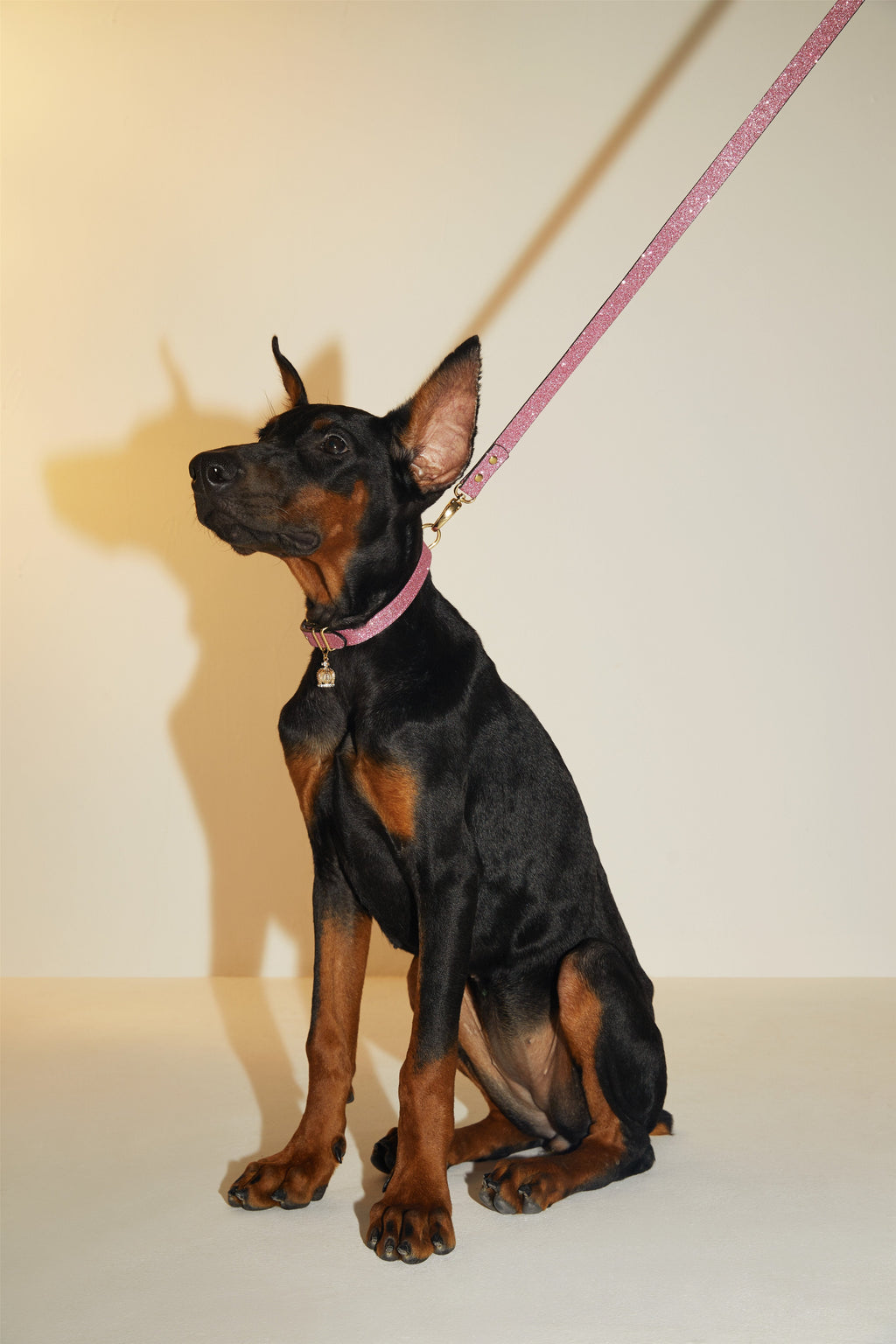 Glitter Lead in Shiny Silver or Studded Rose