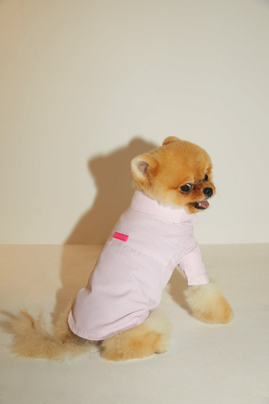 Striped Cotton Shirt in Blue or Pink