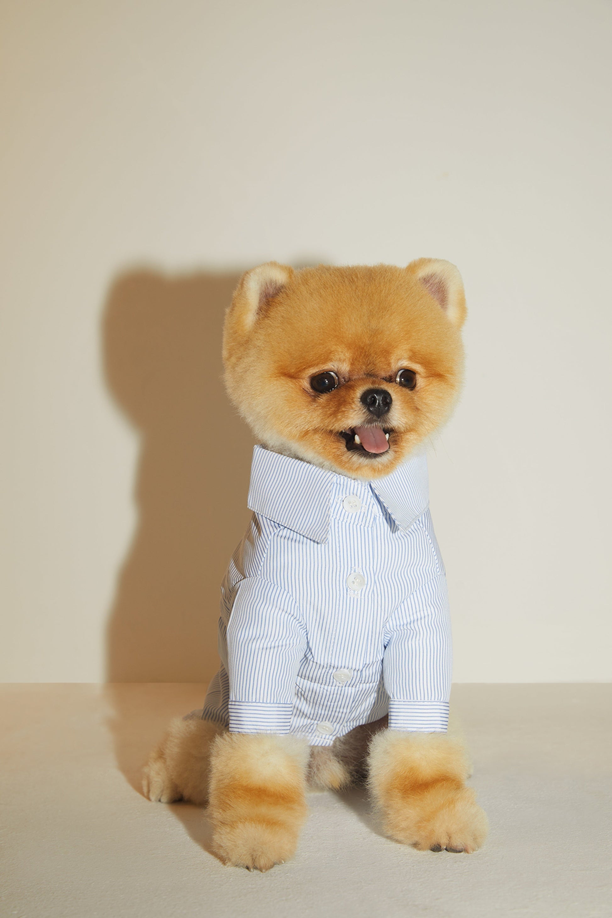 Striped Cotton Shirt in Blue or Pink