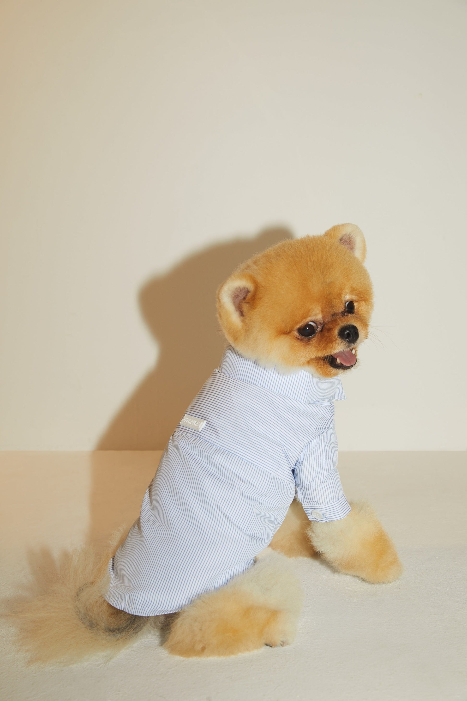 Striped Cotton Shirt in Blue or Pink