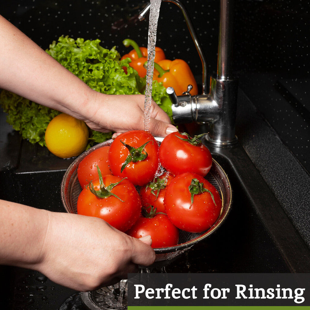 Stainless Steel Colander with Dual Handles