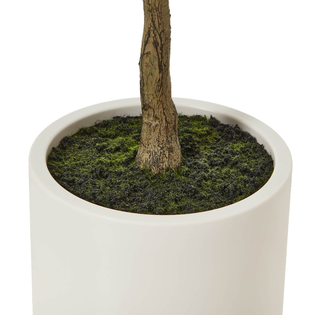 Lifelike 150cm Apulia Olive Tree with silvery-green leaves, gnarled trunk, and faux olives in white planter by Sostter at brixbailey.com