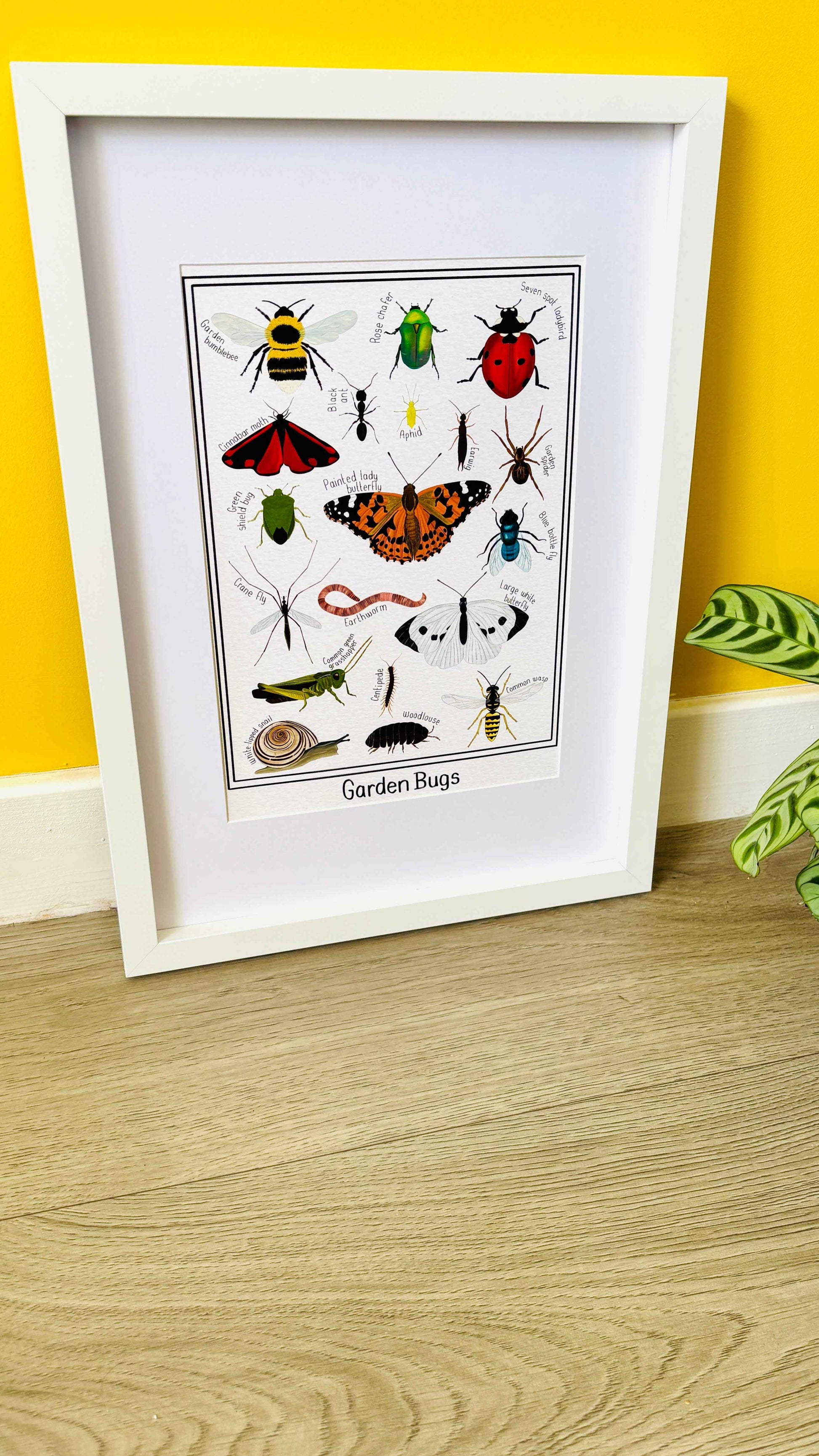 Garden Bug Wall Art Print Educational Nature Illustration