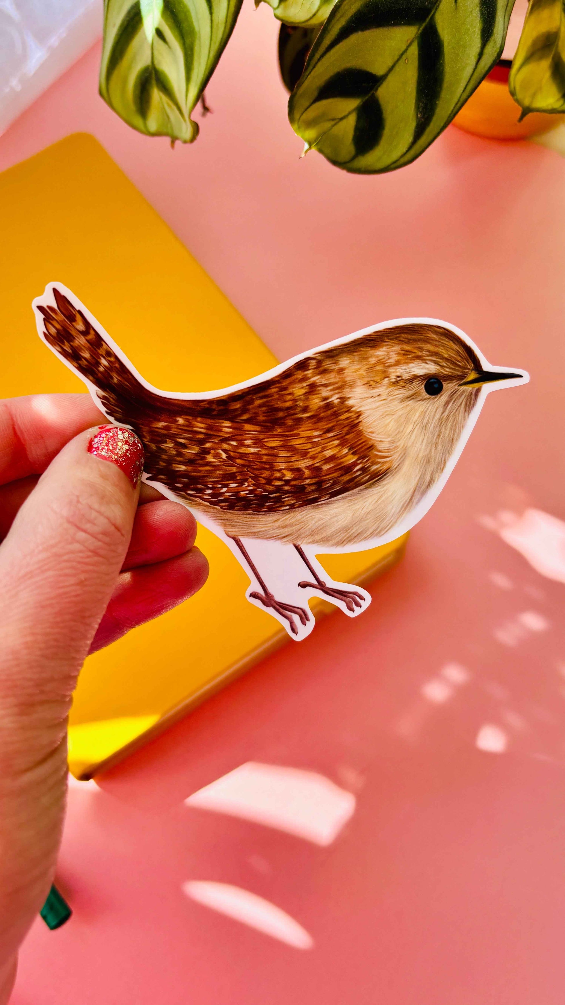 Garden Birds 10cm Vinyl Stickers Nature Inspired Waterproof Decals