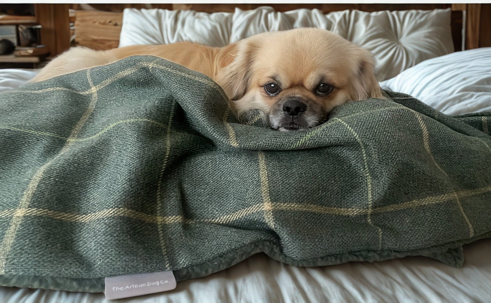 Forest Green Check Dog Blanket with Sherpa Fleece