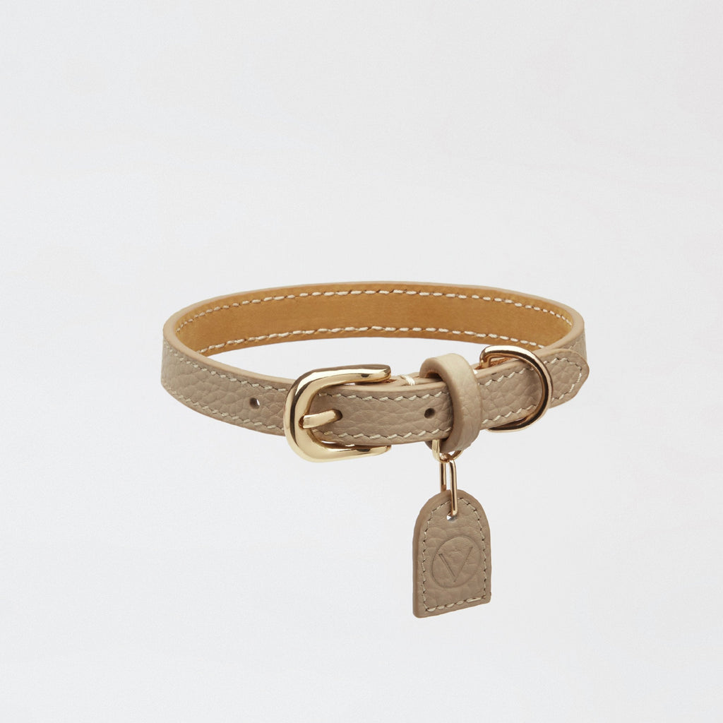 Leather Collar with Gold and Silver Hardware