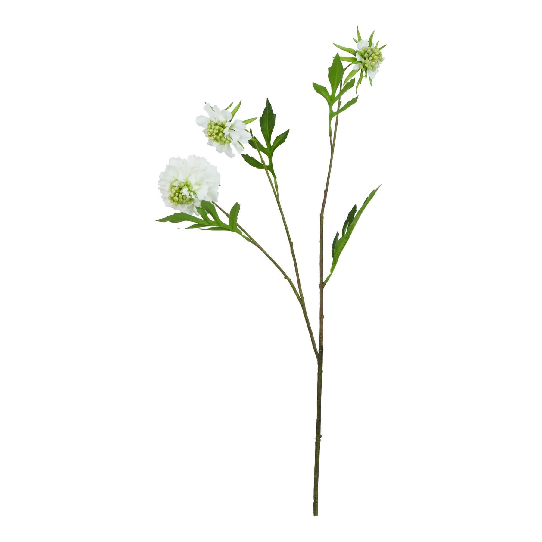 Realistic white scabious artificial stem, 65cm, premium plastic for lifelike home decor   

âœ… **Keywords included:** white scabious, artificial stem, premium plastic, home decor  
âœ… **Clear description:** Visually conveys the stemâ€™s realism, color, and material  
âœ… **SEO & accessibility optimized:** Prioritizes key details for search and screen readers by sostter at brixbailey.com