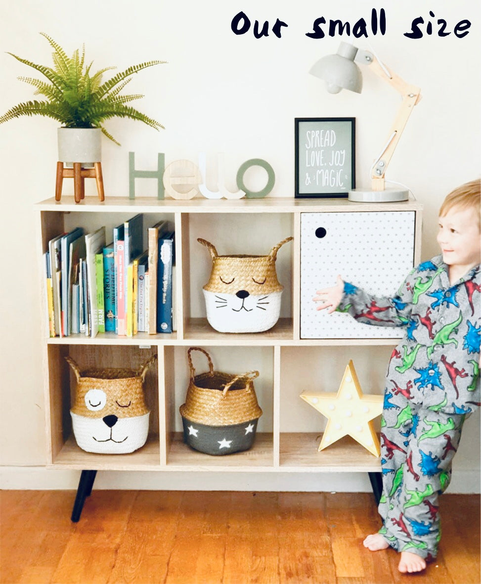 Tiger Basket - Small