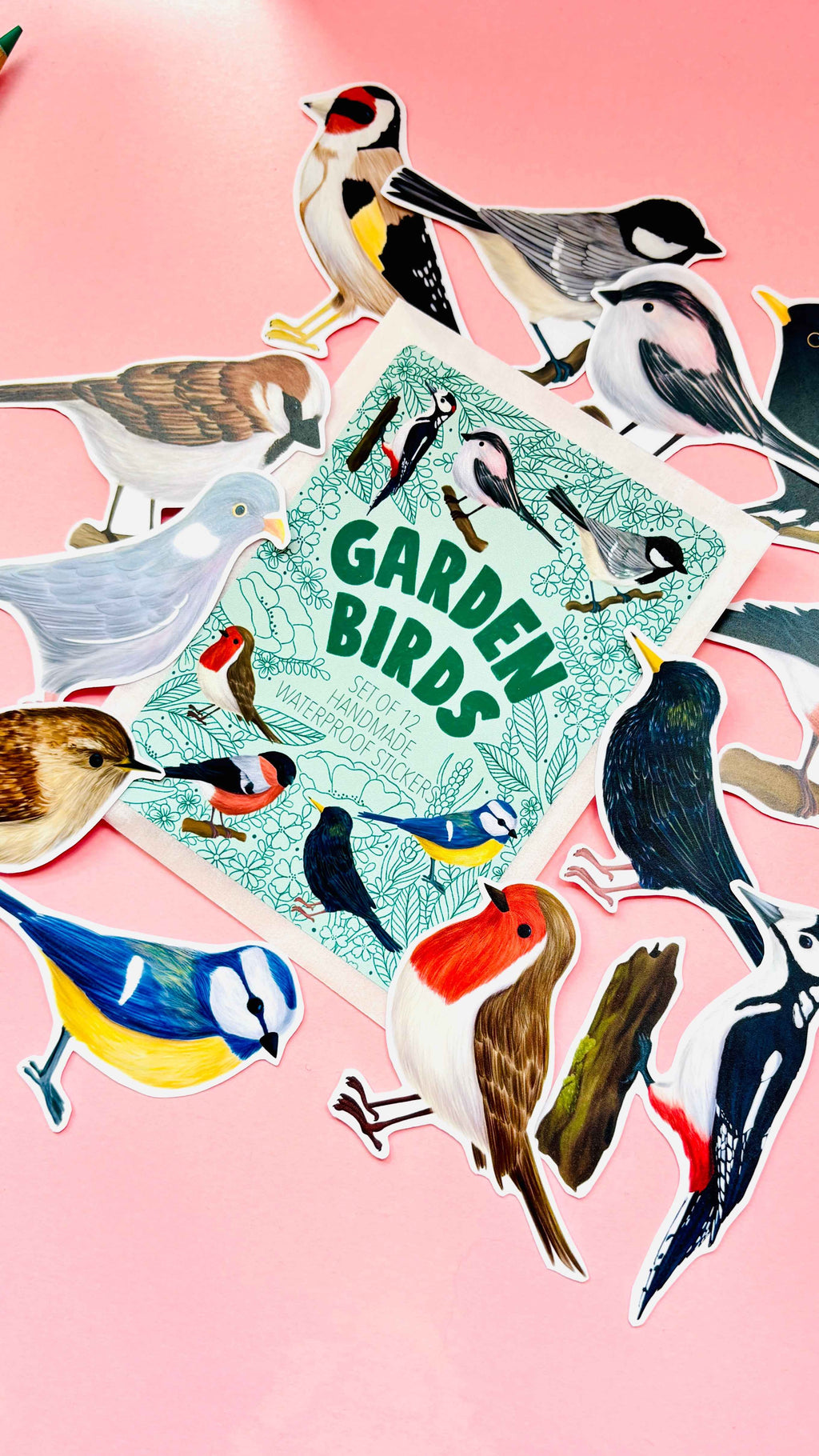 Garden Bird Vinyl Sticker Set 12 Pack 7cm Waterproof