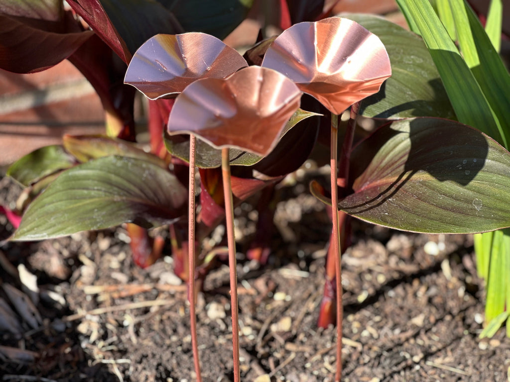 Set of 3 Copper Bee Drinkers