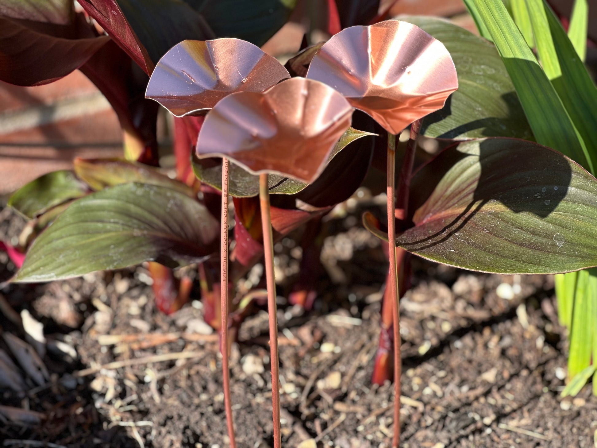 Set of 3 Copper Bee Drinkers