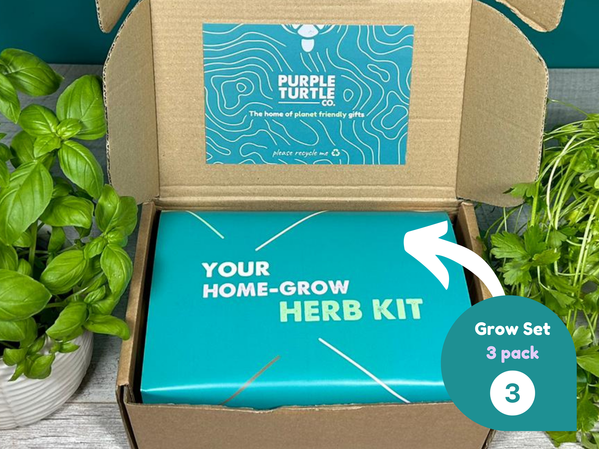Grow Your Own Herbs Gift Set