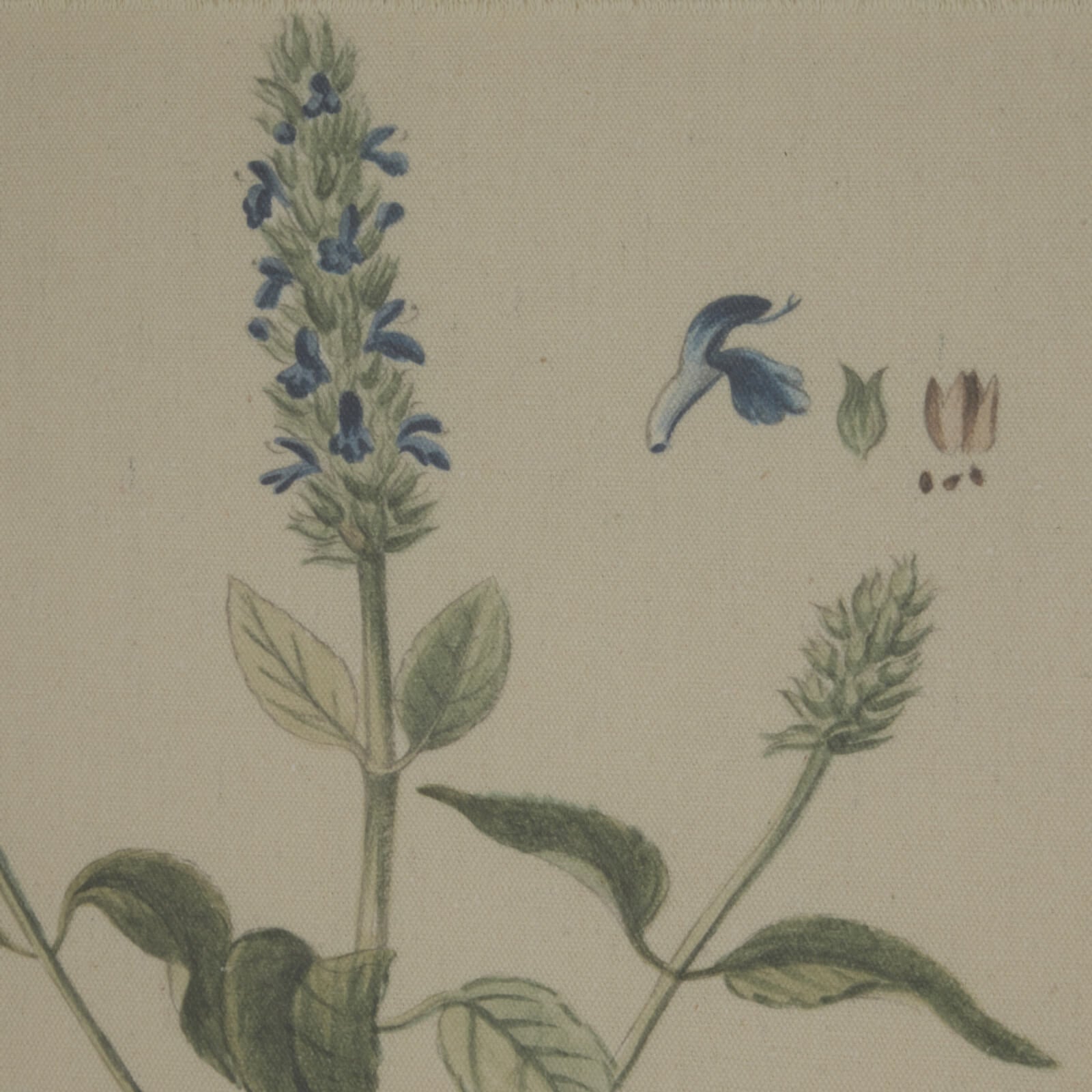 Salvia botanical wall art with handcrafted beaded frame on natural linen, 50x40cm, neutral palette for elegant interiors by RoomLondon at brixbailey.com