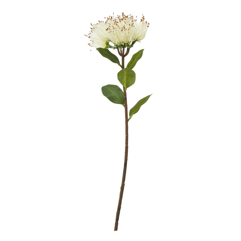 Creamy-white Protea Nitida artificial stem with lush green leaves, 45 cm tall, lifelike botanical decor for home arrangements by Sostter at brixbailey.com