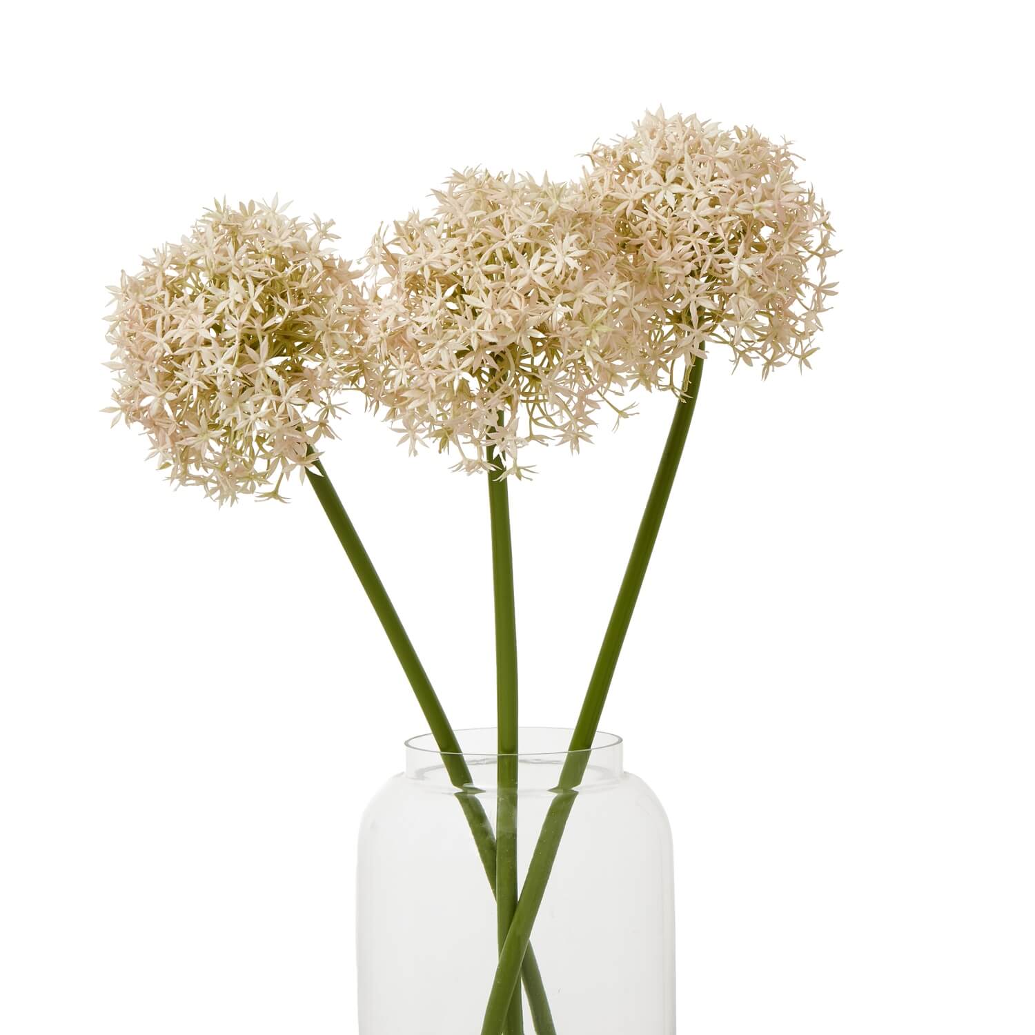 Pink medium allium stem with lifelike spherical bloom, soft pink and ivory florets, 80cm tall for vase arrangements by Sostter at brixbailey.com
