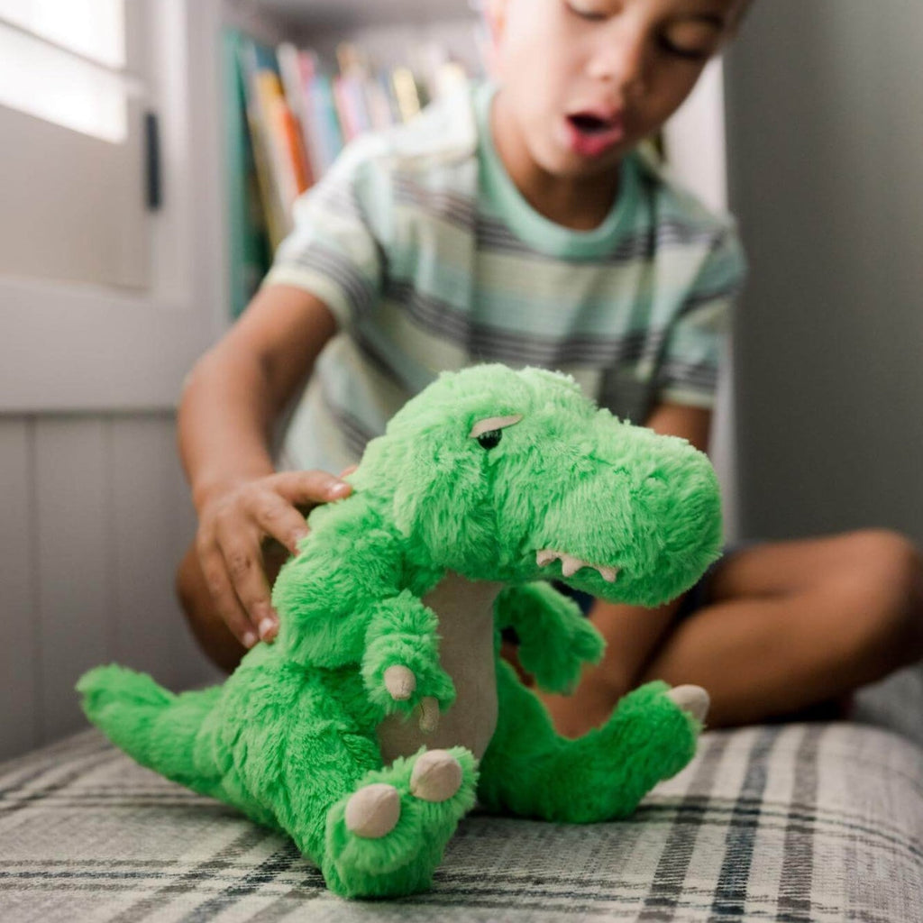 Rainbow Designs Dinoriffic T-rex Textured Soft Toy