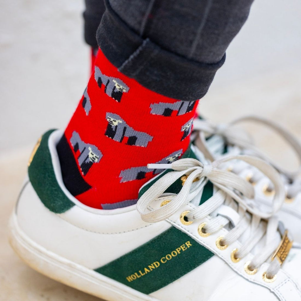 Sustainable Bamboo Socks Made to Last