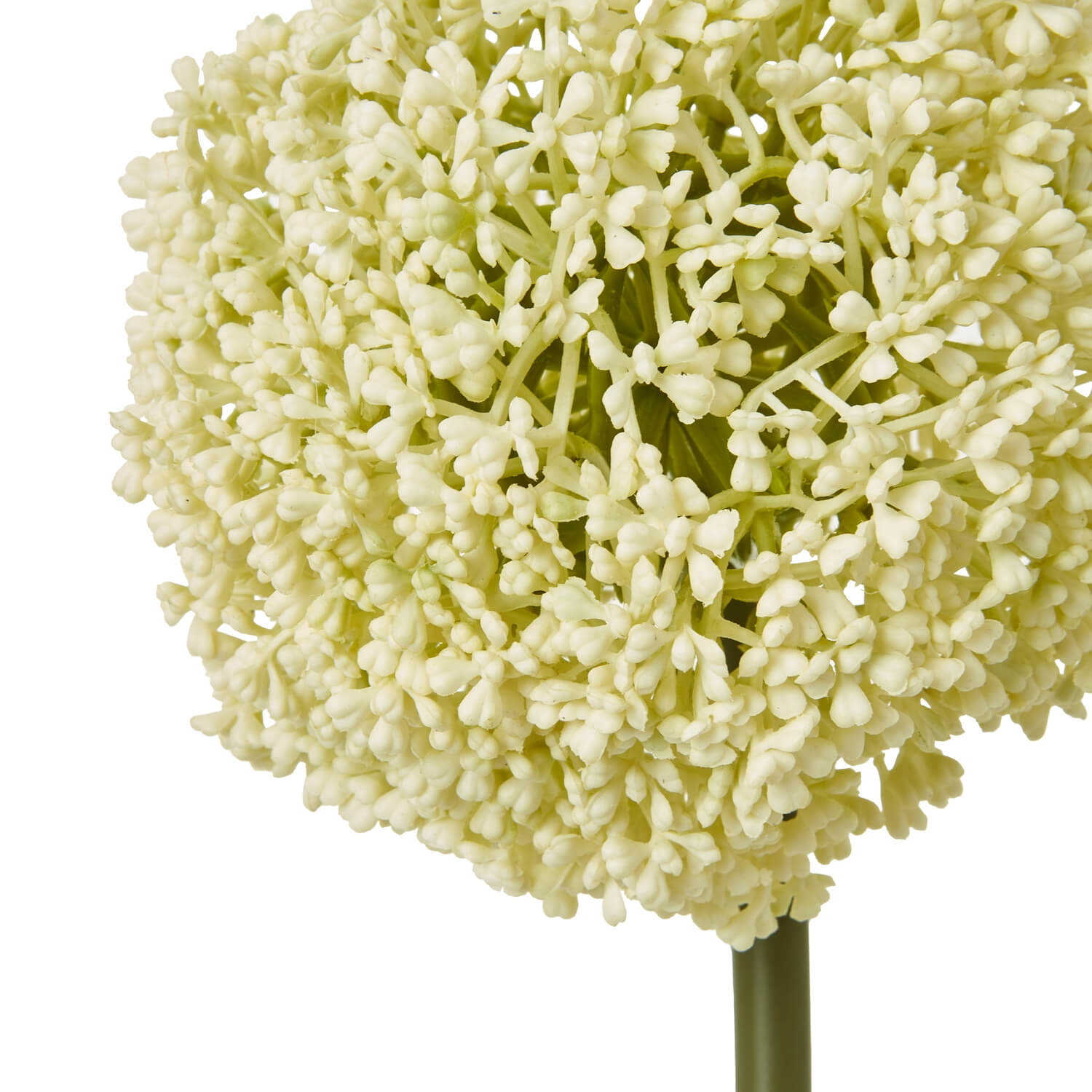 Cream Allium Stem floral accent with lifelike spherical blooms, soft cream color, 75cm height for vases and centerpieces by Sostter at brixbailey.com
