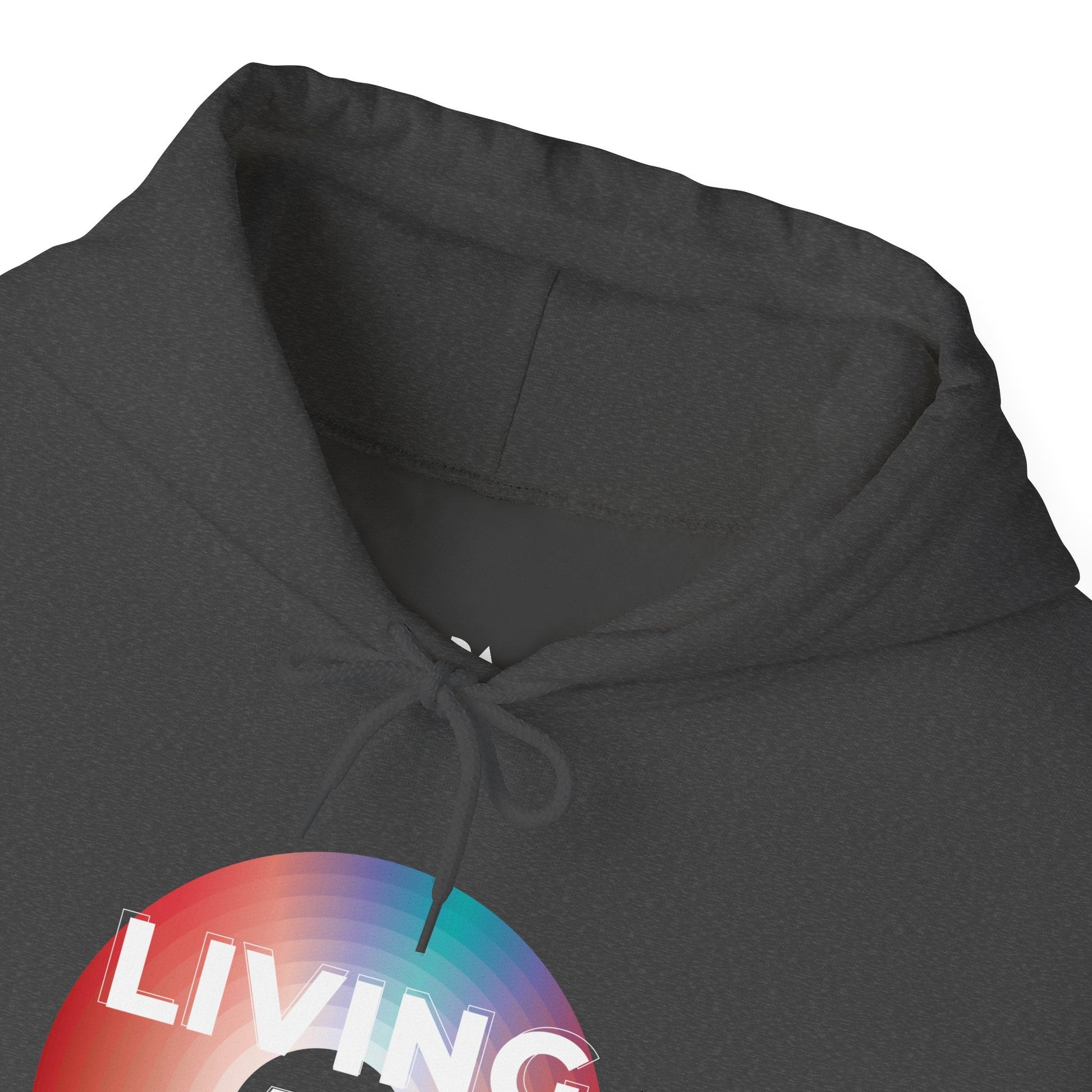 Living at 33rpm Men's Hoodie