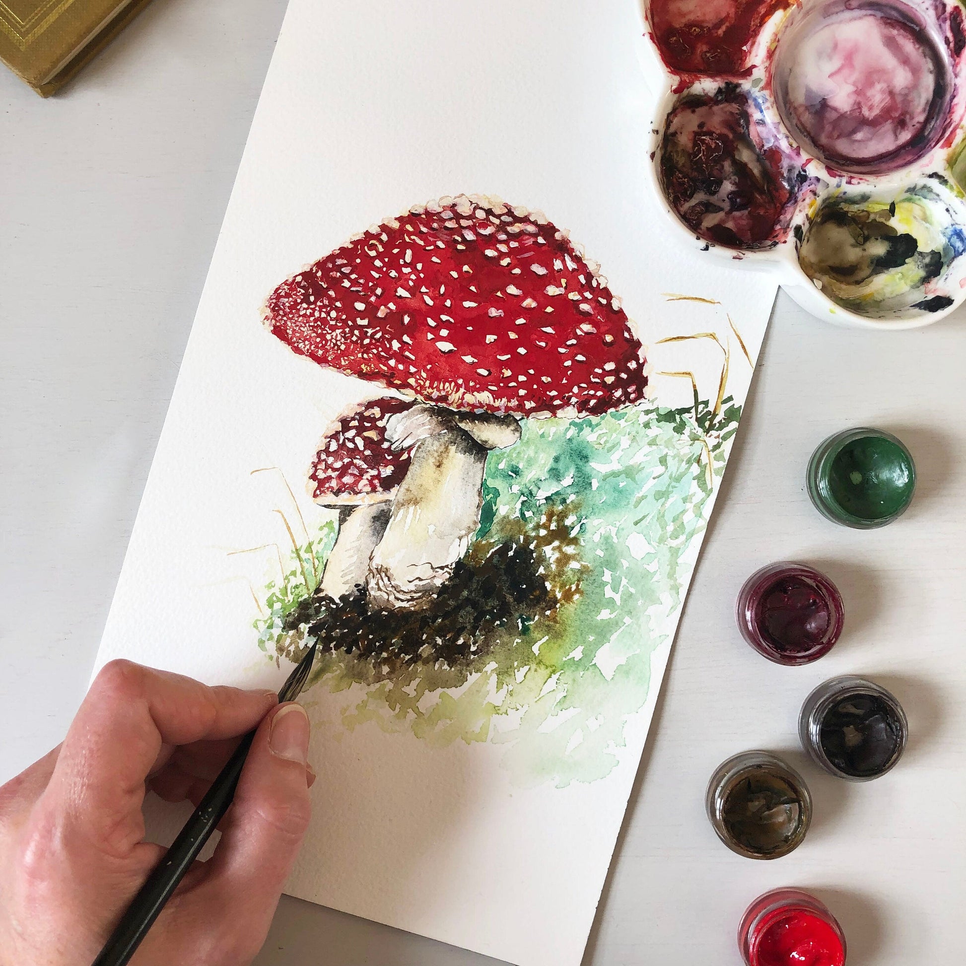 Toadstool Fine Art Print
