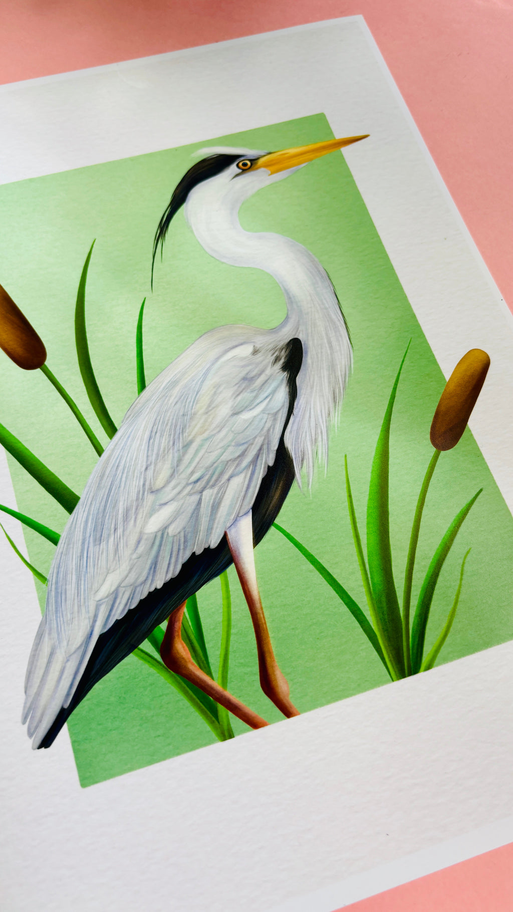 Grey Heron Wildlife Art Print in Multiple Sizes