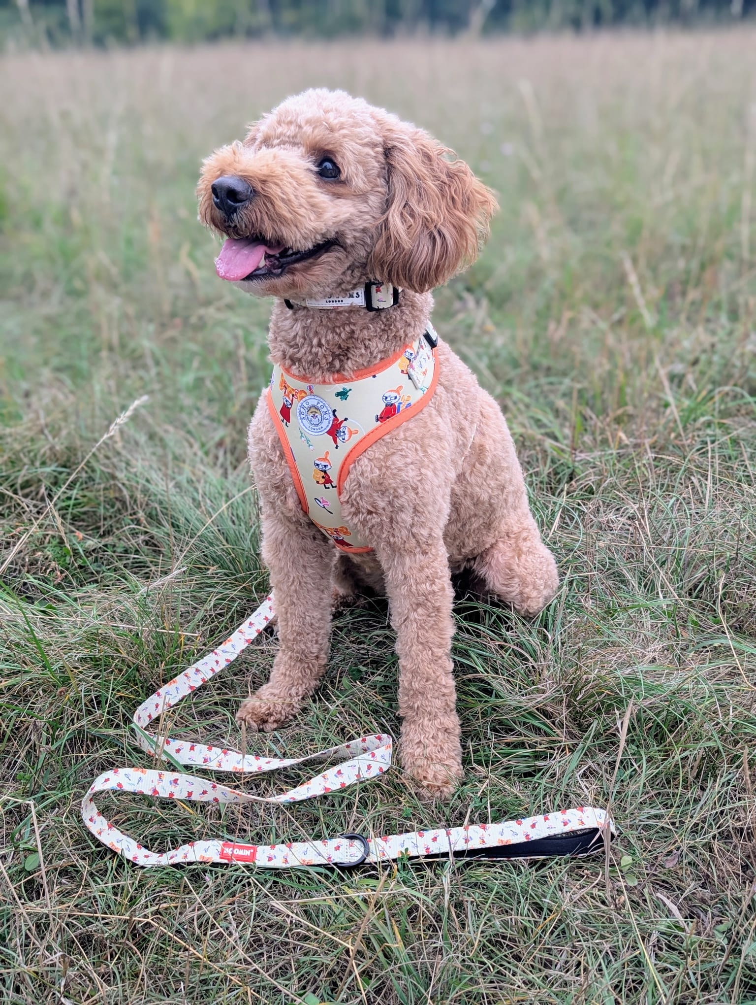 Moomins Yellow Sunrise Dog Lead