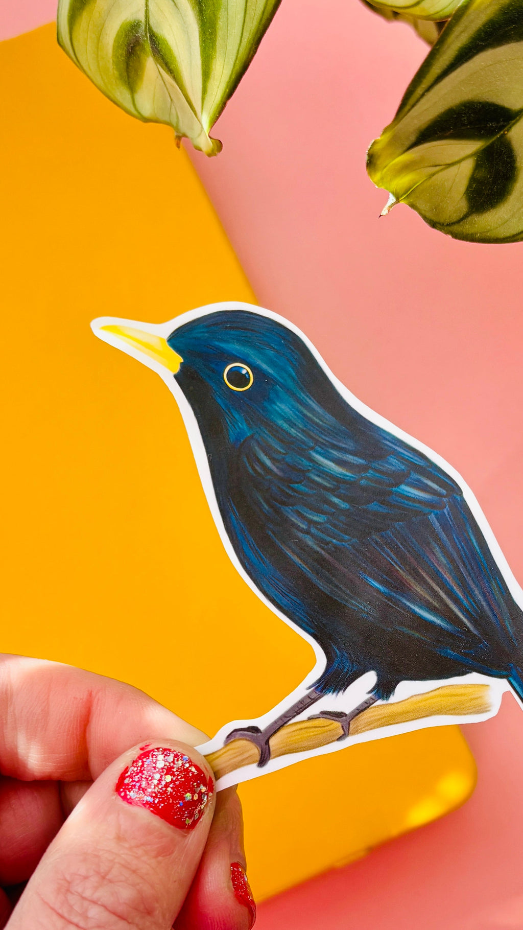 Blackbird Vinyl Sticker British Wildlife Art Waterproof