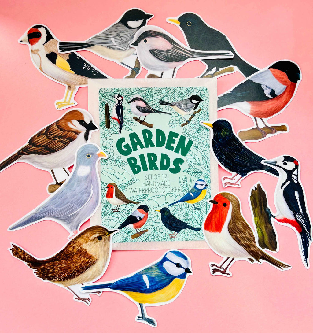 Garden Bird Vinyl Sticker Set 12 Pack 7cm Waterproof