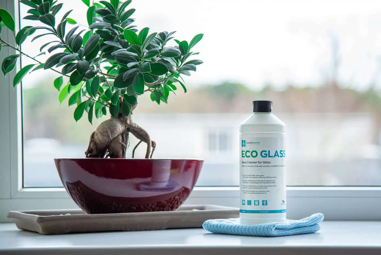 EcoGlass Concentrated Window Cleaner - Ammonia-Free, Streak-Free Cleaning for All Glass Surfaces by GoGoNano at www.brixbailey.com