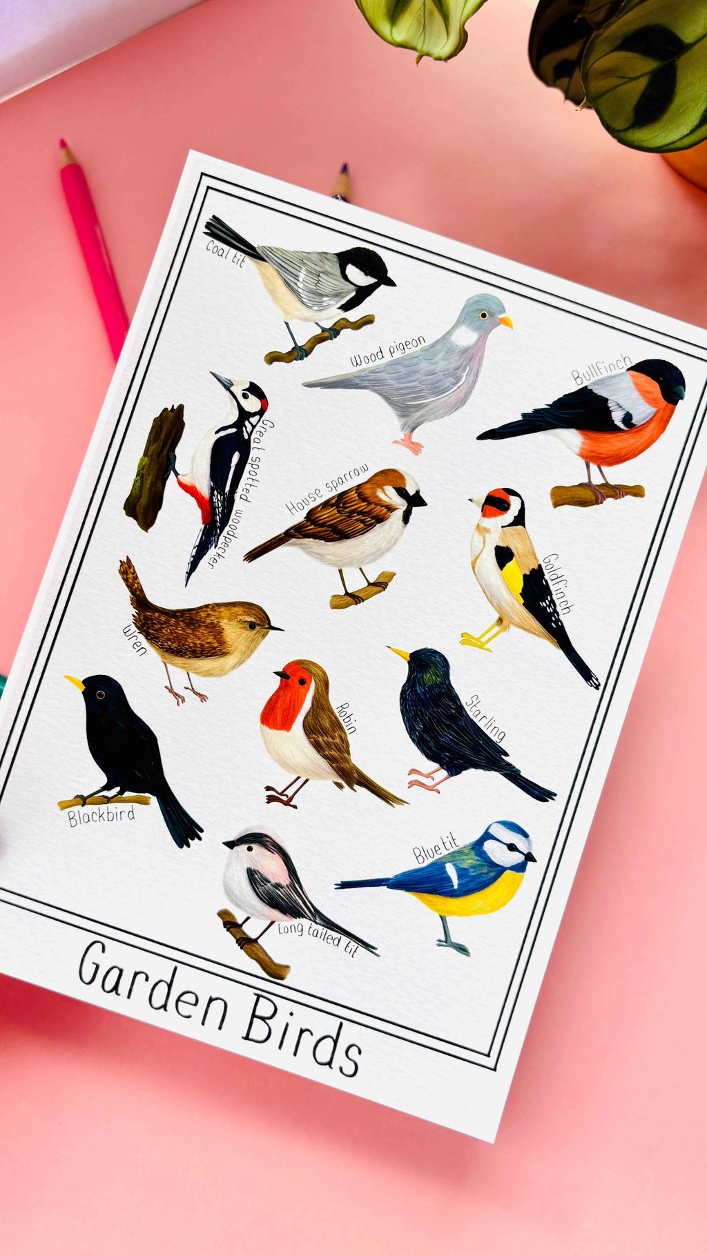 Garden British Birds Art Print Multiple Sizes