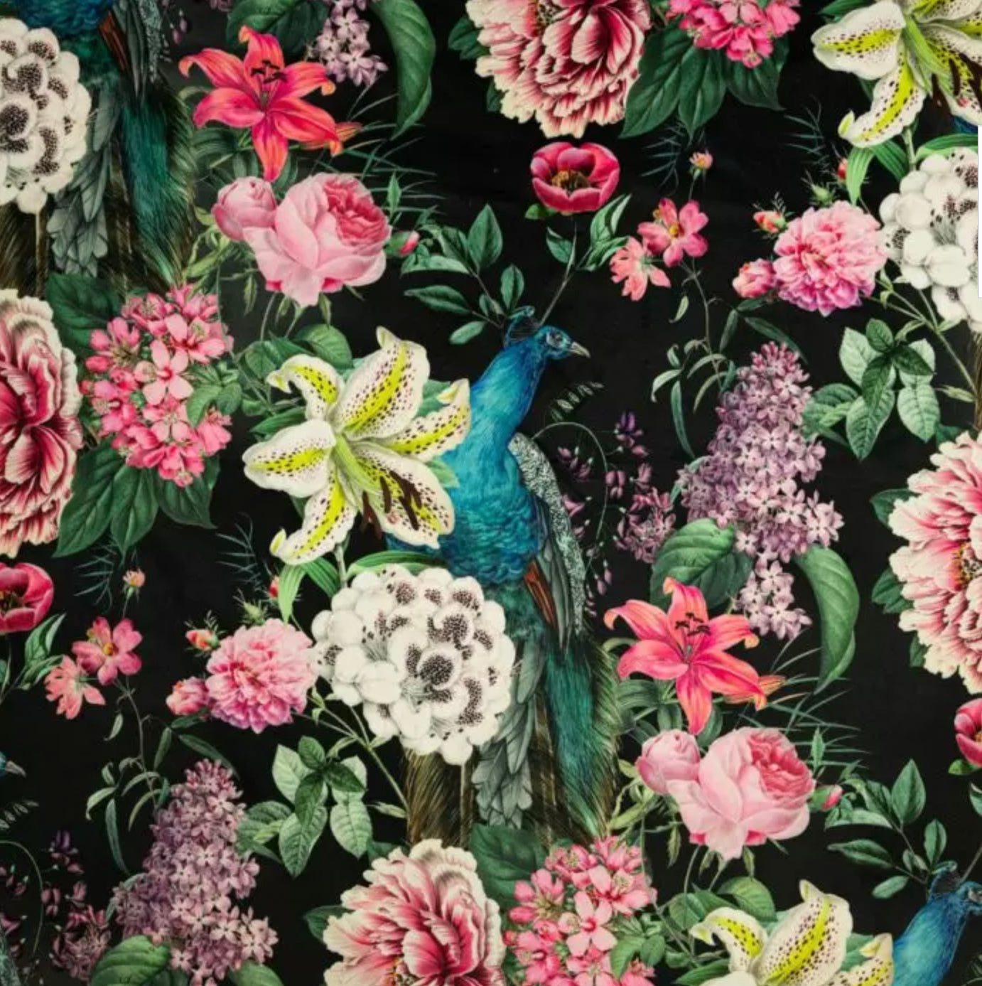 Peacock floral Velvet cylinder lampshade, in black, extra tall lampshade