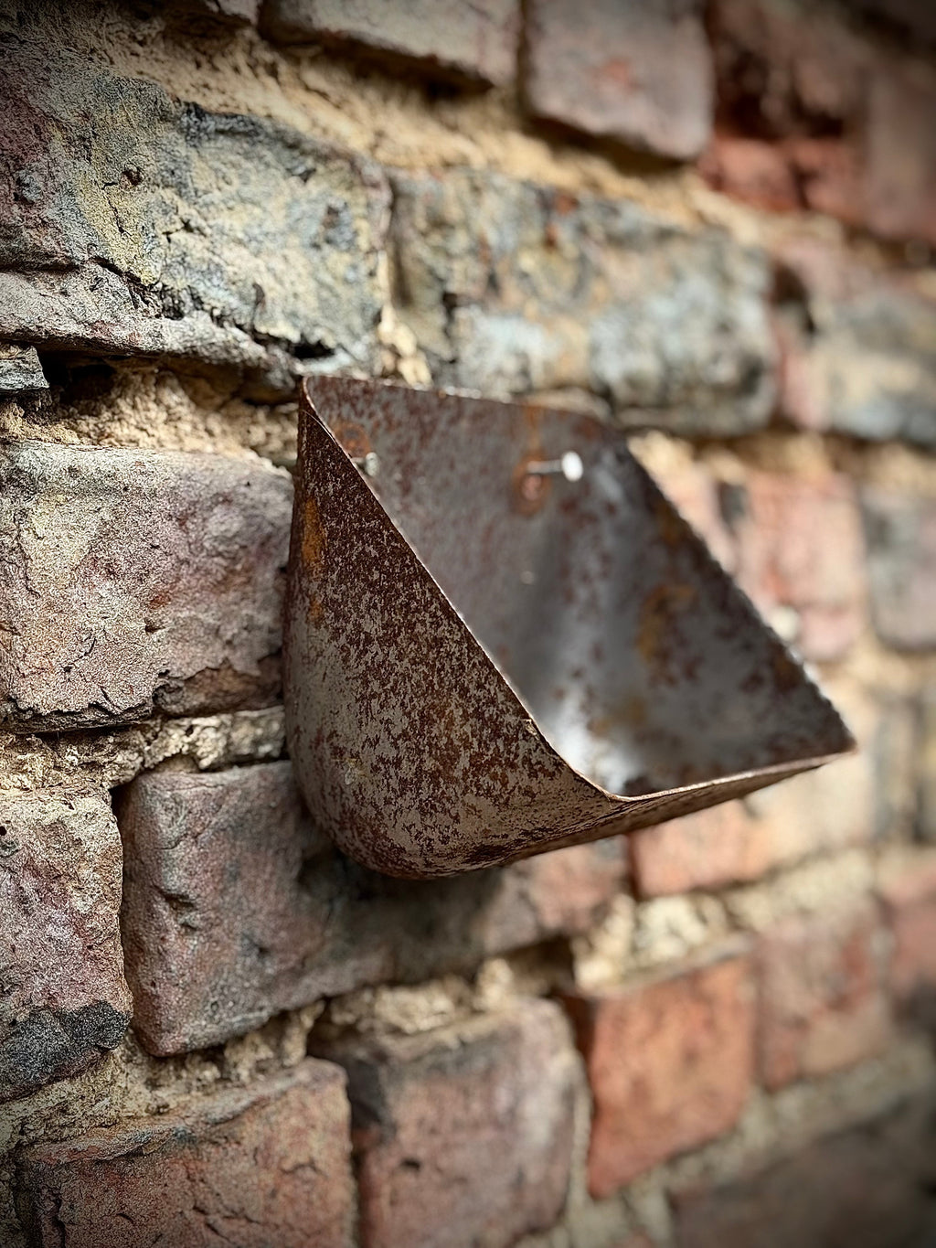 Vintage Rusty Metal Wall Mounted Planter and Key Holder