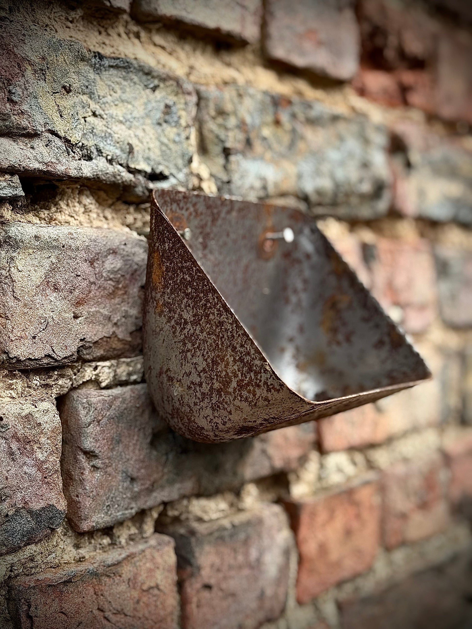 Vintage Rusty Metal Wall Mounted Planter and Key Holder