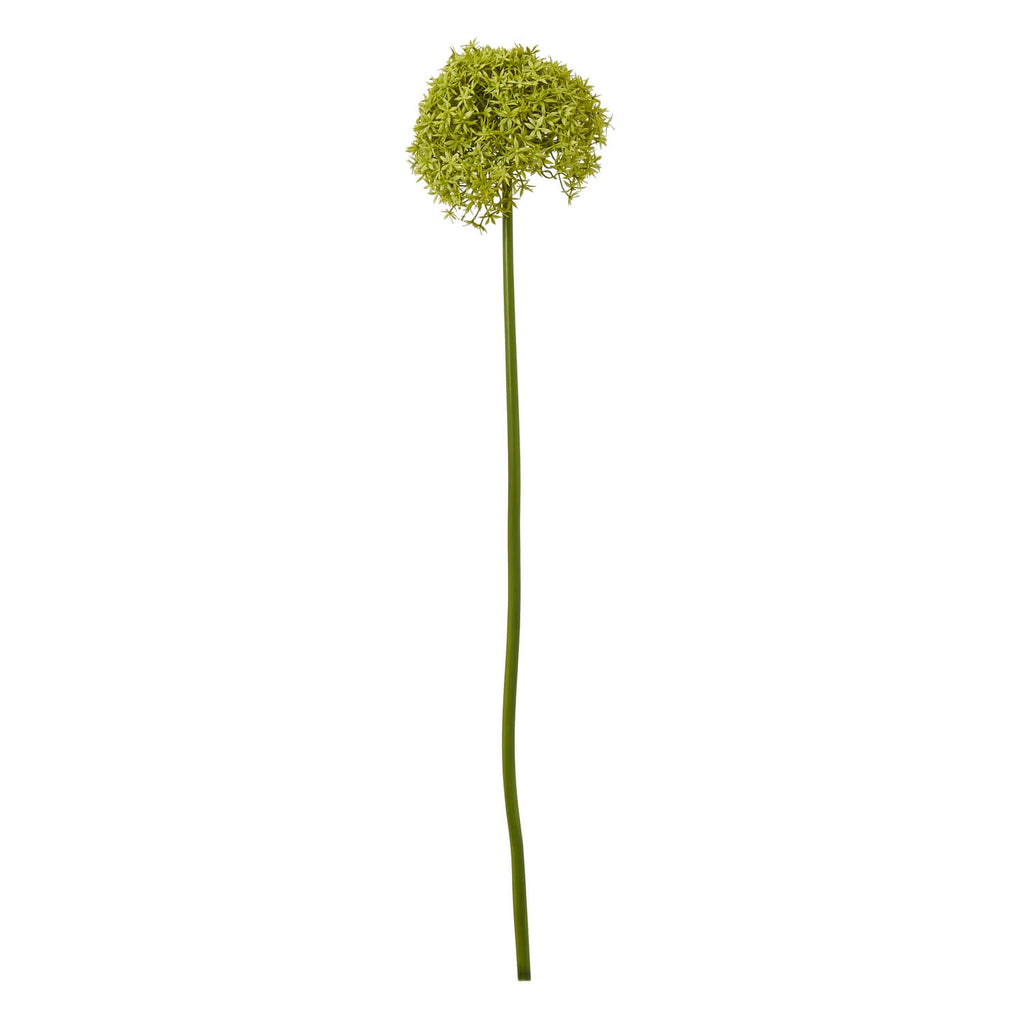 Lifelike green allium stem with spherical bloom, 90cm faux botanical for home decor, rich plastic texture by Sostter at brixbailey.com