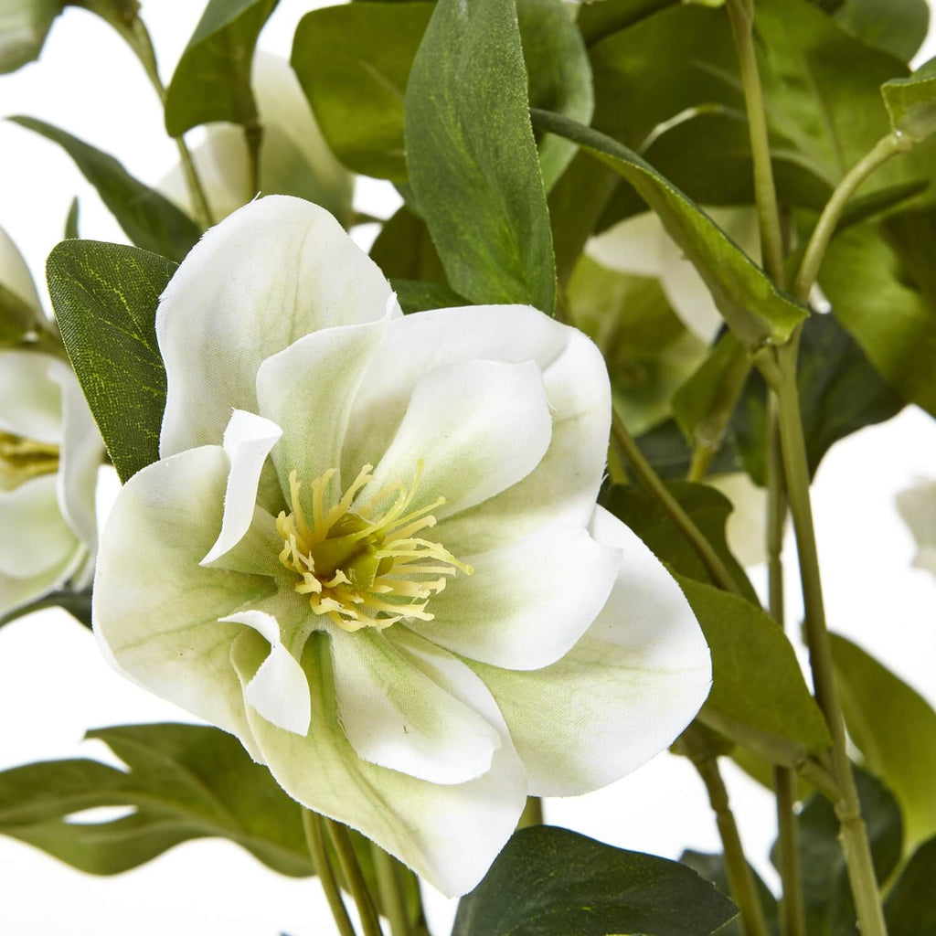 Lifelike faux Hellebore plant with white blooms in grey ceramic pot, perfect for home decor by sostter at brixbailey.com