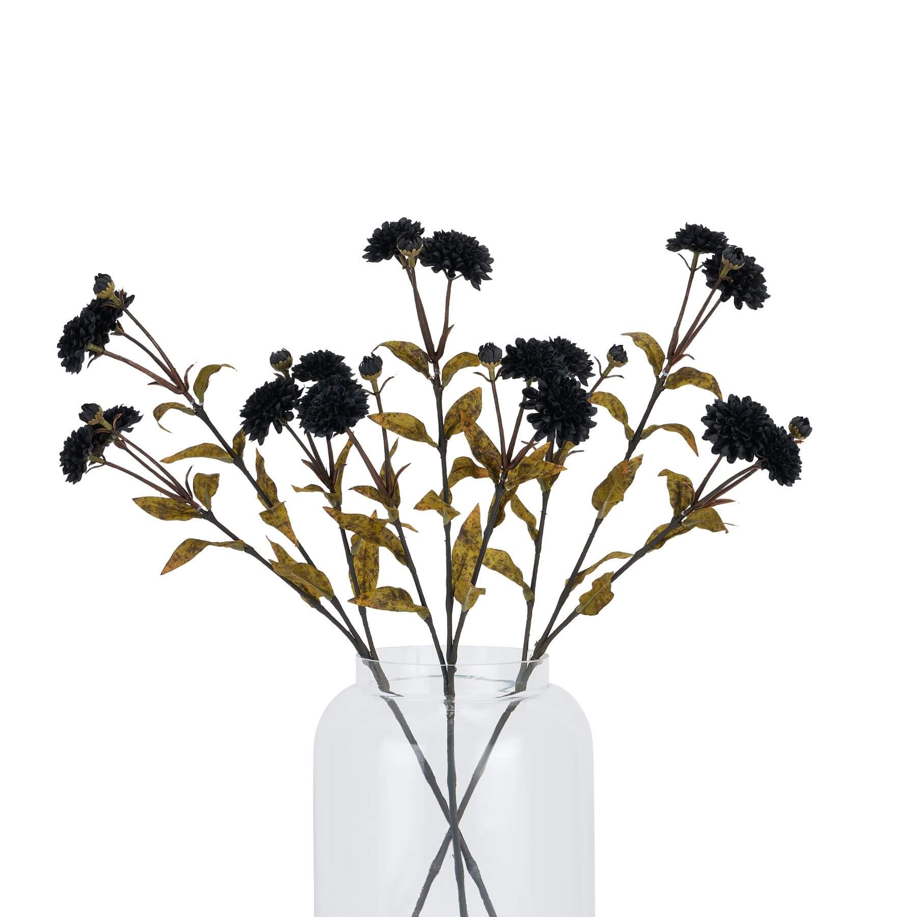 Large black chrysanthemum floral arrangement with realistic plastic petals, dark gothic centerpiece for modern interiors. by sostter at brixbailey.com