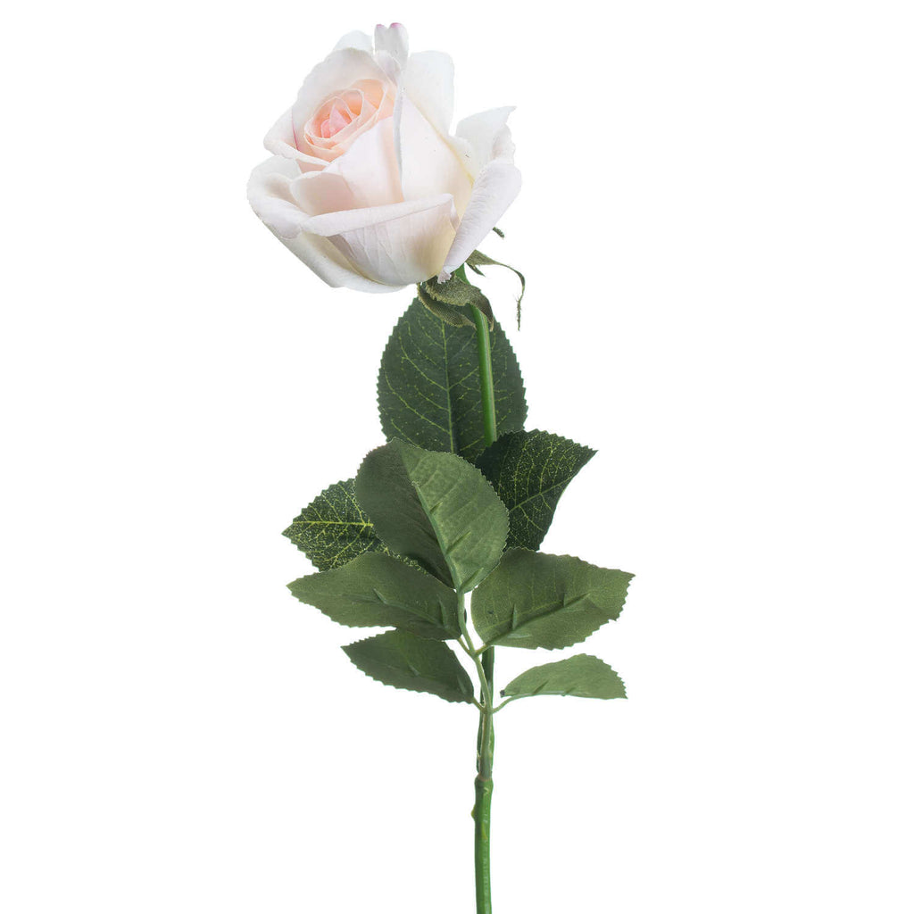 Palest pink artificial tea rose with green foliage, lifelike silk bloom for home decor, 65cm tall by sostter at brixbailey.com