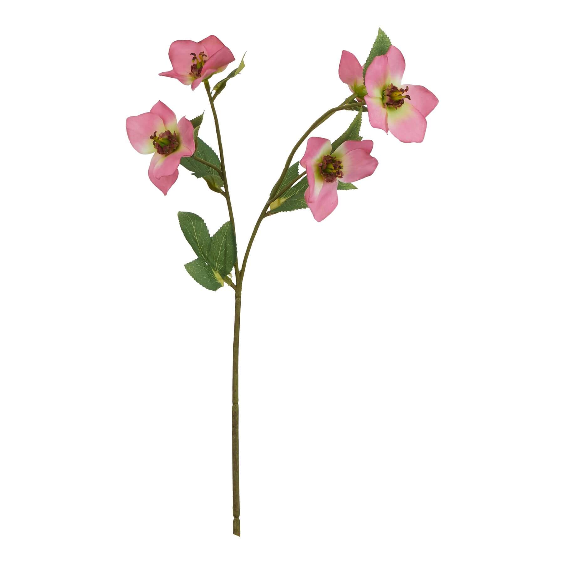 Artificial pink hellebore flower with variegated petals, 47 cm tall, plastic stem for year-round freshness.by sostter at brixbailey.com