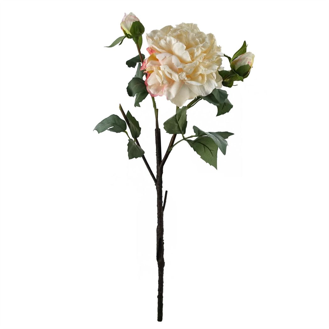 Cream Peony Artificial Flowers 60cm Stem Pack of 6
