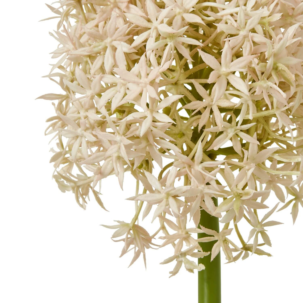 Pink medium allium stem with lifelike spherical bloom, soft pink and ivory florets, 80cm tall, for farmhouse or boho decor by Sostter at brixbailey.com